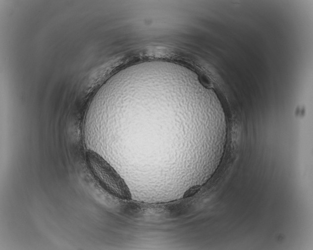 X0000115020401200911091447