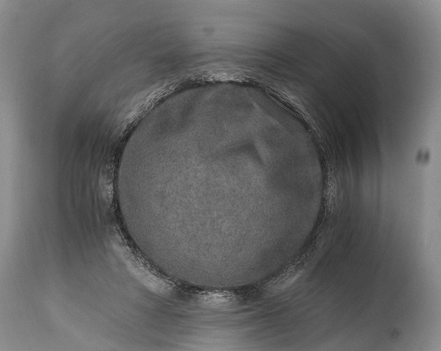 X0000115020402200911091447