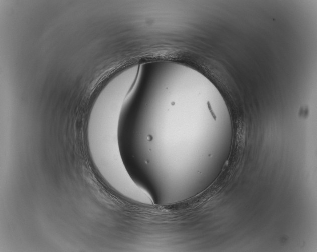 X0000115020403200911091447