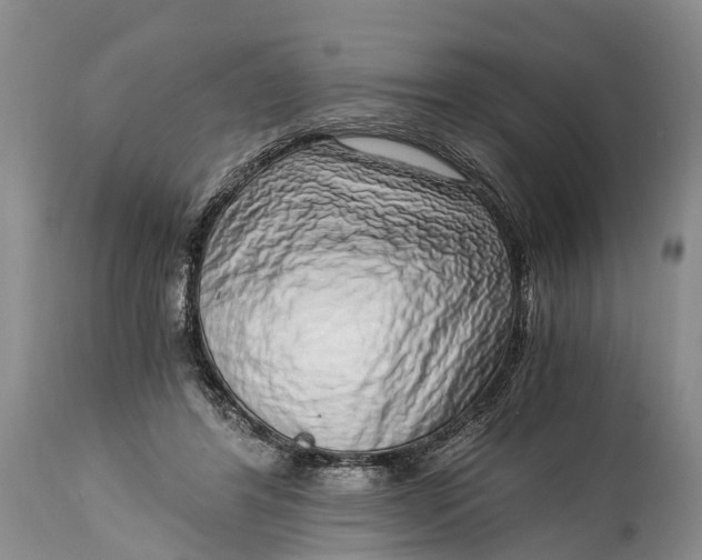 X0000115020404200911091447