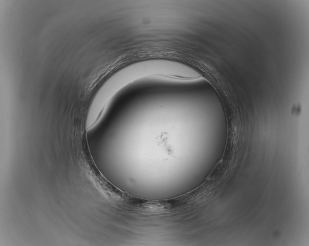 X0000115020405200911091447