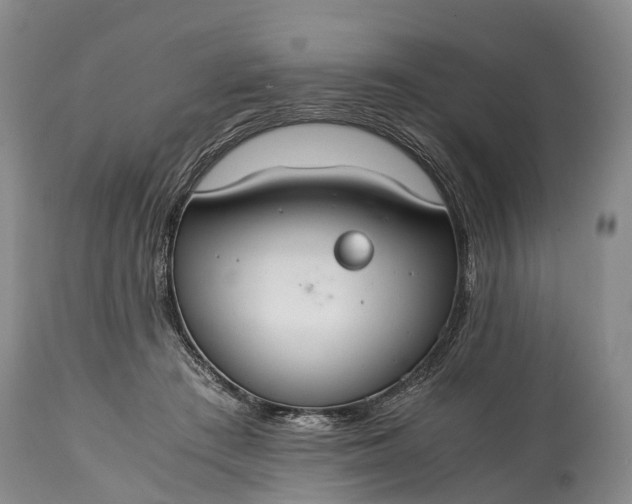 X0000115020409200911091447