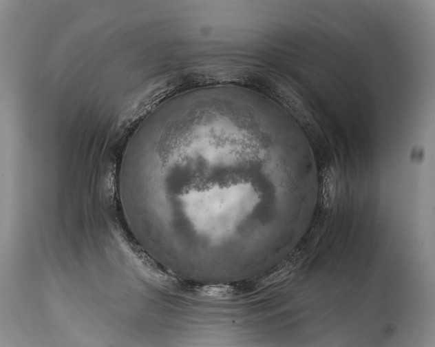 X0000115020410200911091447