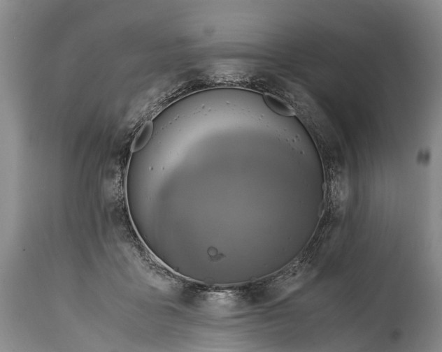 X0000115020411200911091447