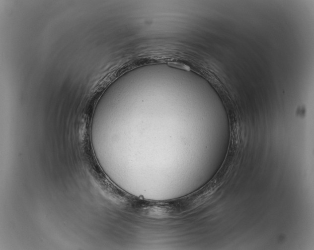 X0000115020412200911091447