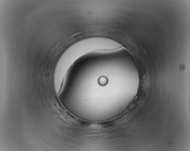 X0000115020413200911091447