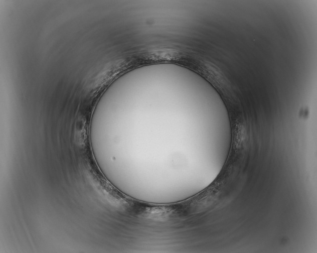 X0000115020414200911091447