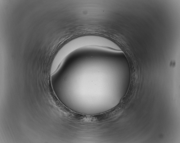 X0000115020415200911091447