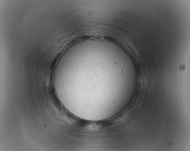 X0000115020416200911091447