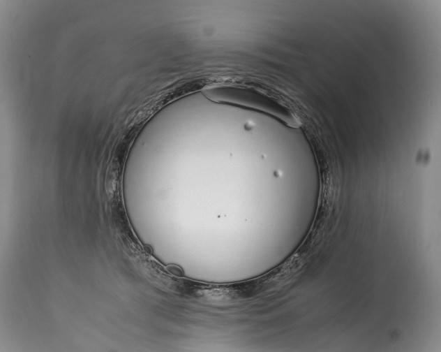 X0000115020417200911091447