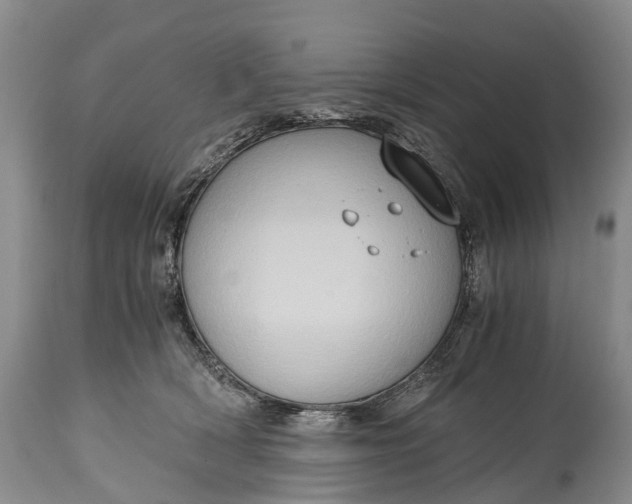 X0000115020418200911091447