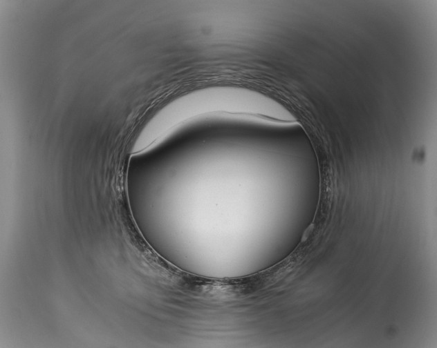 X0000115020419200911091447