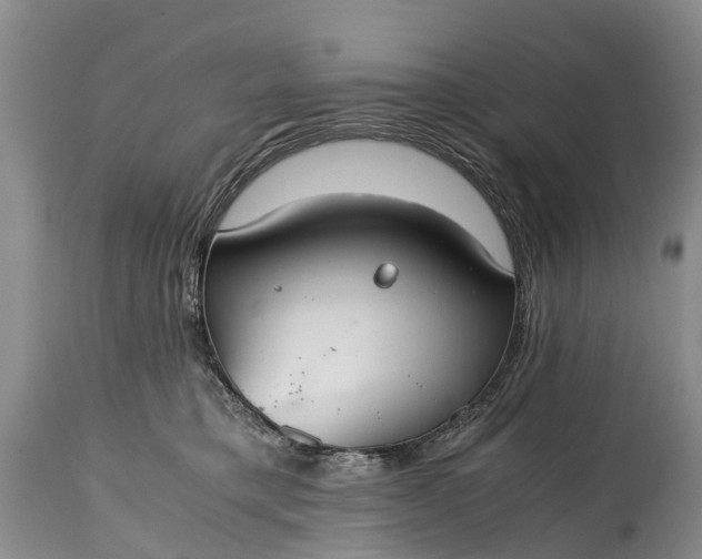 X0000115020421200911091447