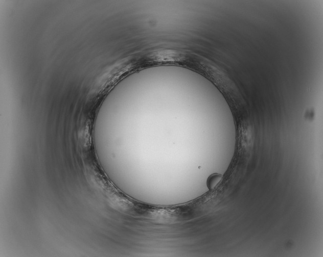 X0000115020422200911091447