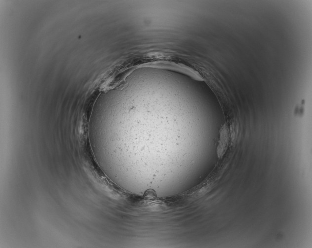 X0000115020424200911091447