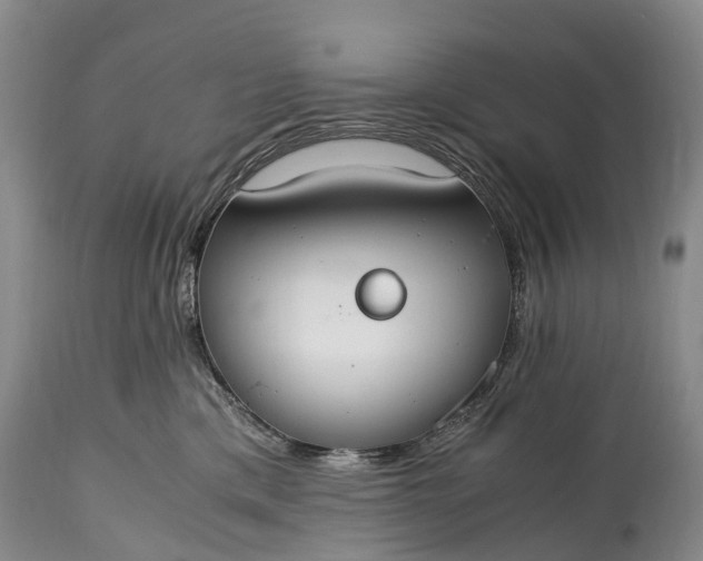 X0000115020425200911091447