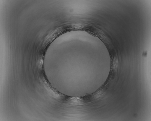 X0000115020427200911091447