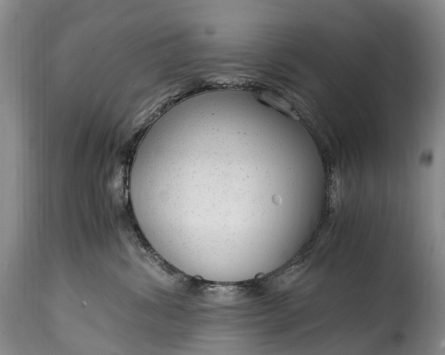 X0000115020428200911091447