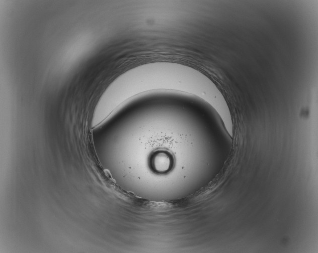 X0000115020429200911091447