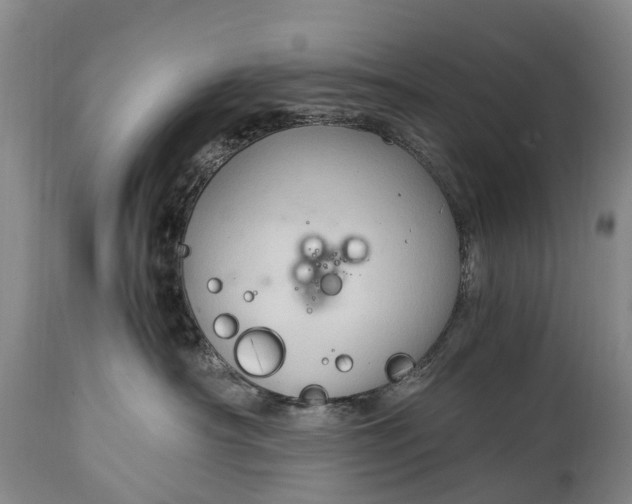 X0000115020430200911091447