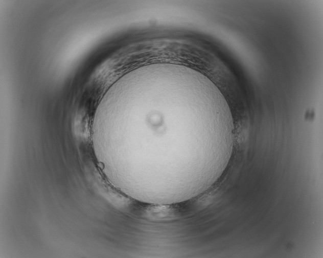 X0000115020431200911091447