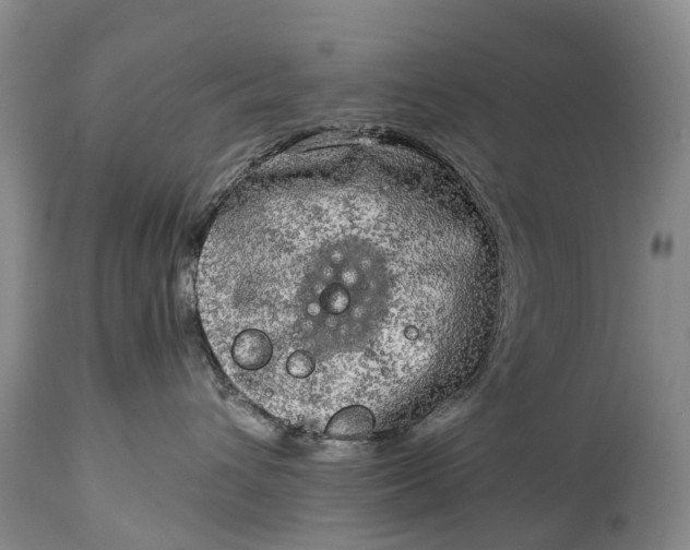 X0000115020432200911091447