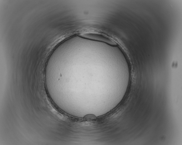 X0000115020433200911091446