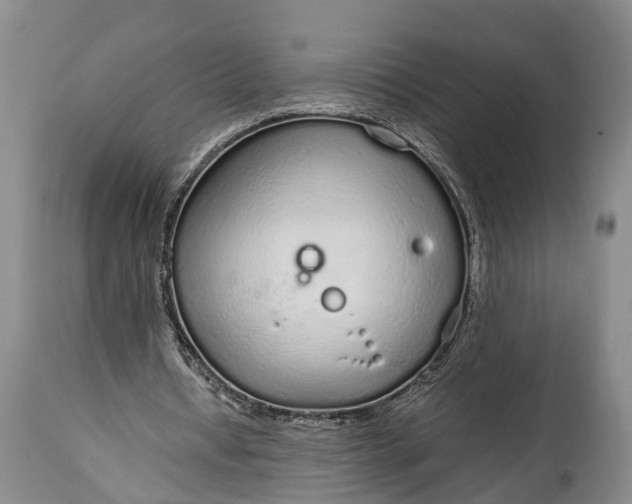 X0000115020434200911091446