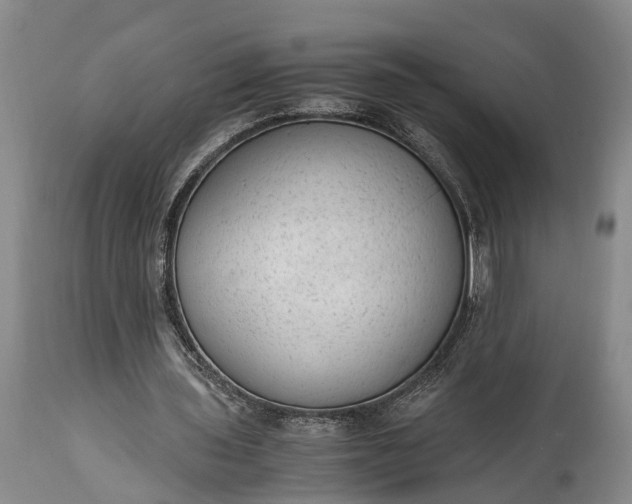 X0000115020435200911091446