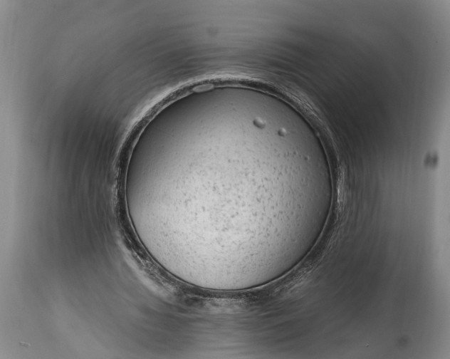 X0000115020436200911091446