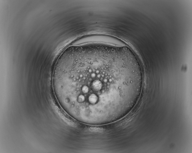 X0000115020437200911091446