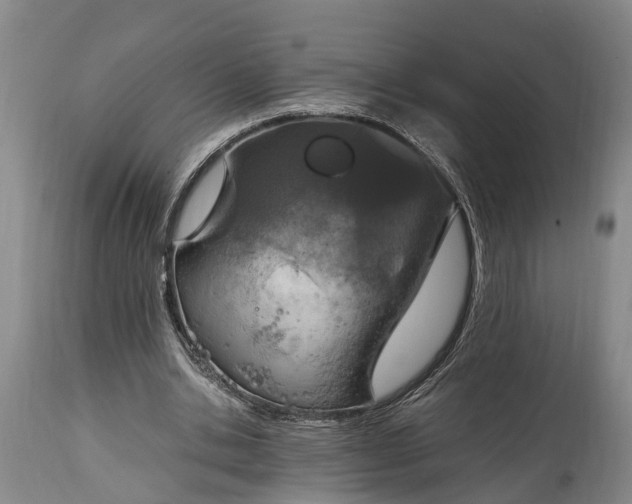 X0000115020438200911091446