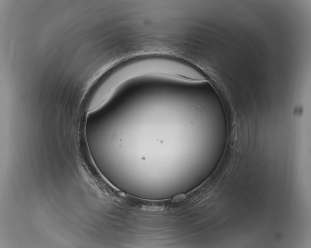 X0000115020440200911091446