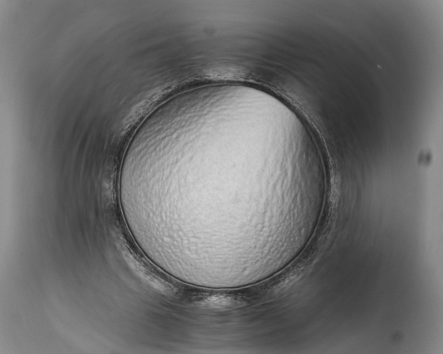 X0000115020441200911091446