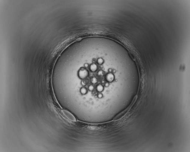 X0000115020442200911091446