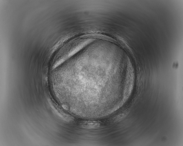 X0000115020443200911091446