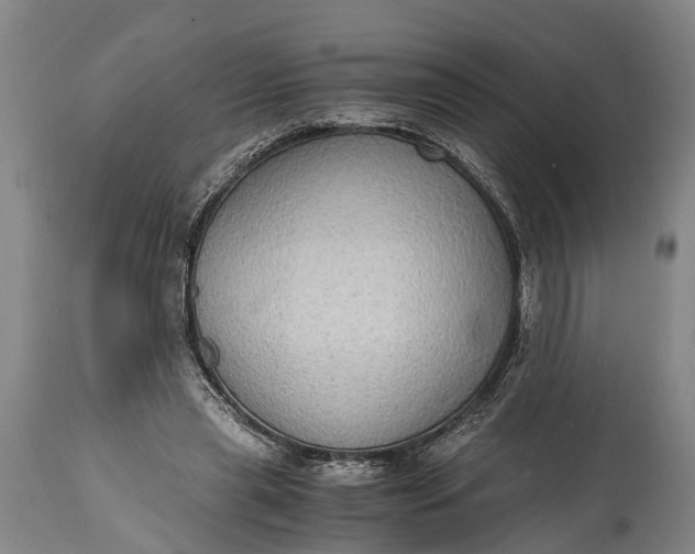 X0000115020445200911091446