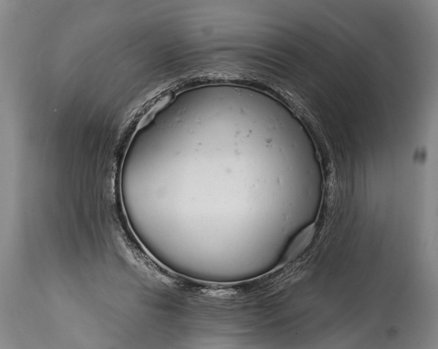 X0000115020446200911091446