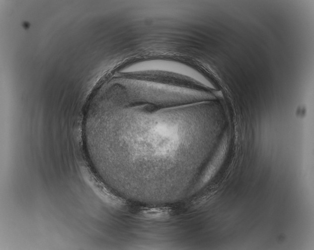 X0000115020447200911091446