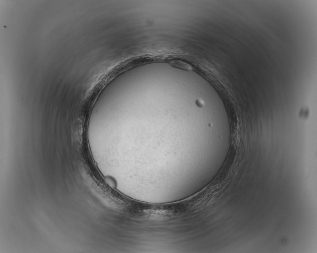 X0000115020448200911091446