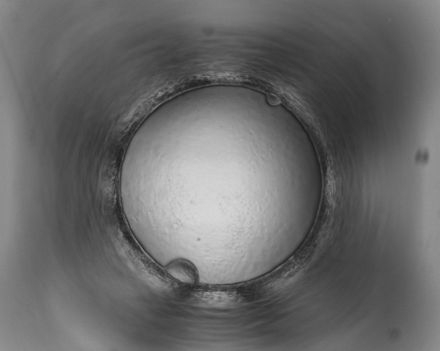 X0000115020449200911091446