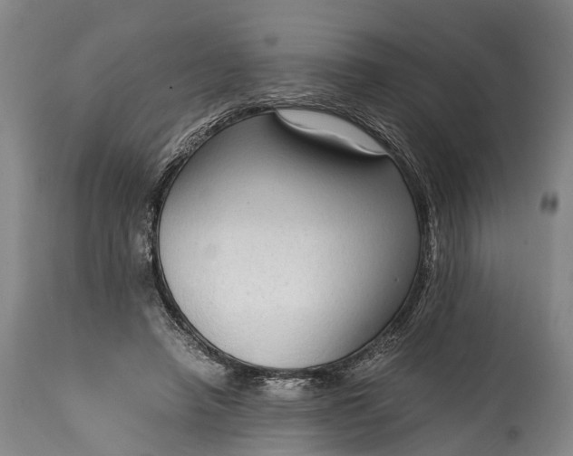 X0000115020450200911091446