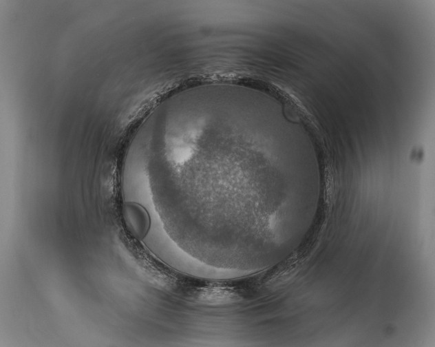 X0000115020451200911091446