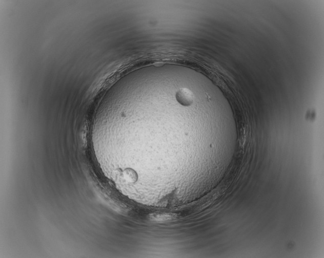 X0000115020452200911091446