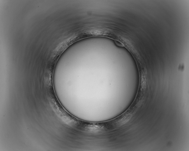 X0000115020453200911091446