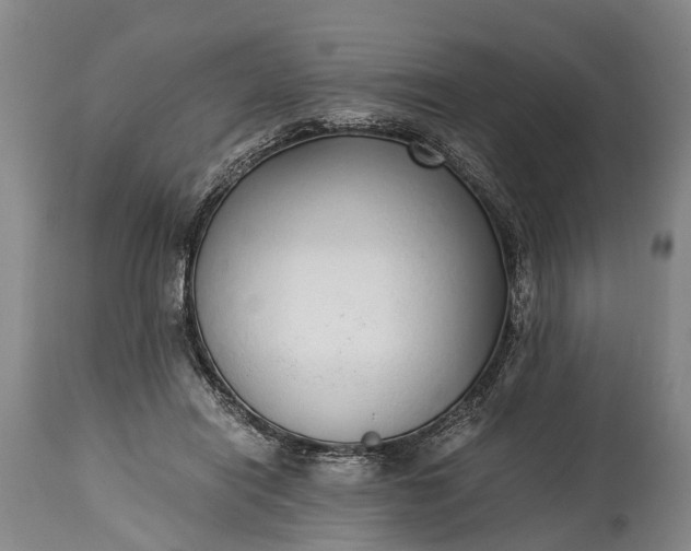 X0000115020454200911091446