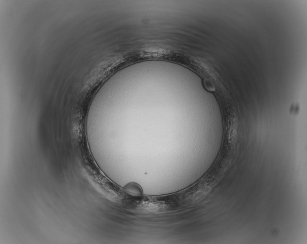 X0000115020455200911091446