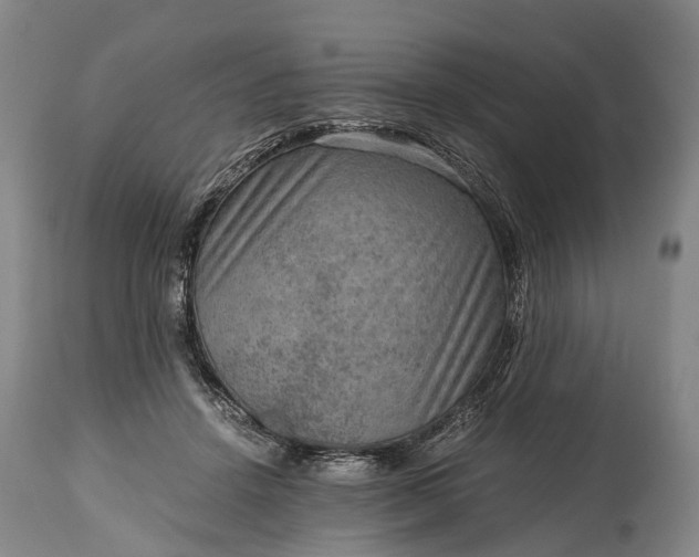 X0000115020456200911091446