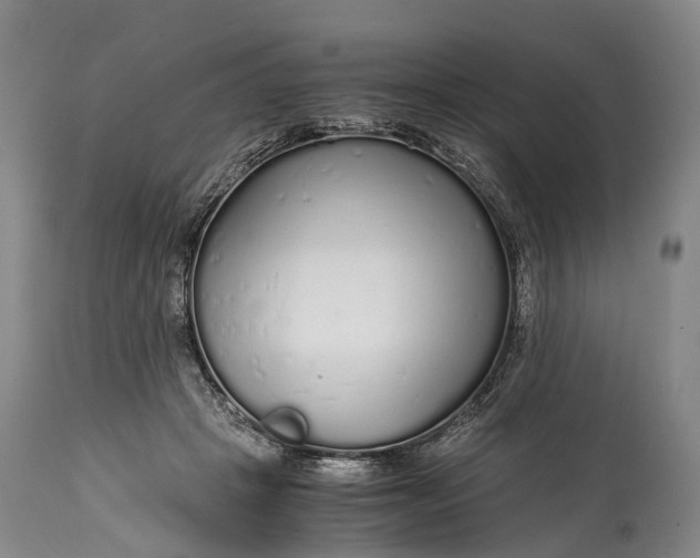 X0000115020457200911091446