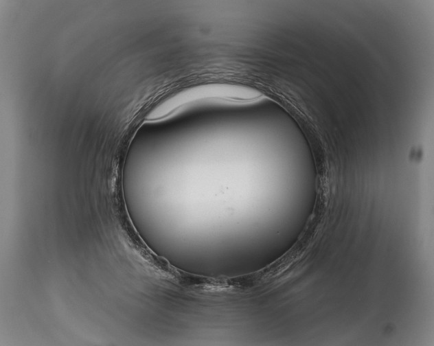 X0000115020458200911091446